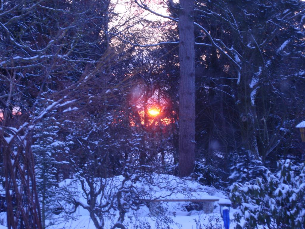 Bredal Heddahgaarden Bed & Breakfast エクステリア 写真